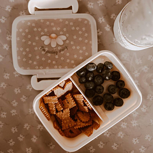 Ланч-бокс с разделителем Mrs. Ertha "Little Daisys", очарование маргариток